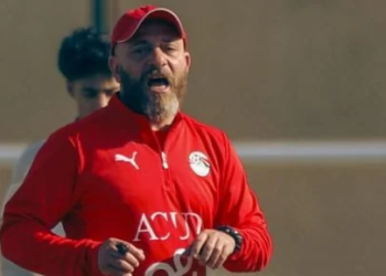 وائل رياض